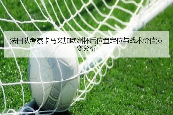 法国队考察卡马文加欧洲杯后位置定位与战术价值演变分析